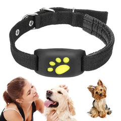 Universal Pet GPS Tracker Collar